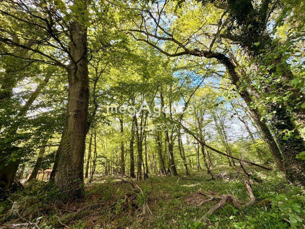 Maison 4 pièces, dans un havre de paix au cœur de la nature - photo 14