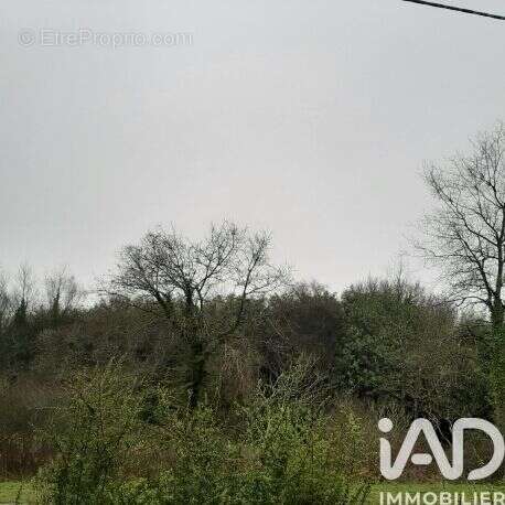 Photo 3 - Terrain à CAUREL