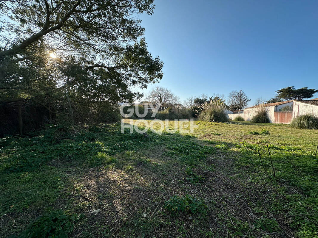 Terrain à LES PORTES-EN-RE