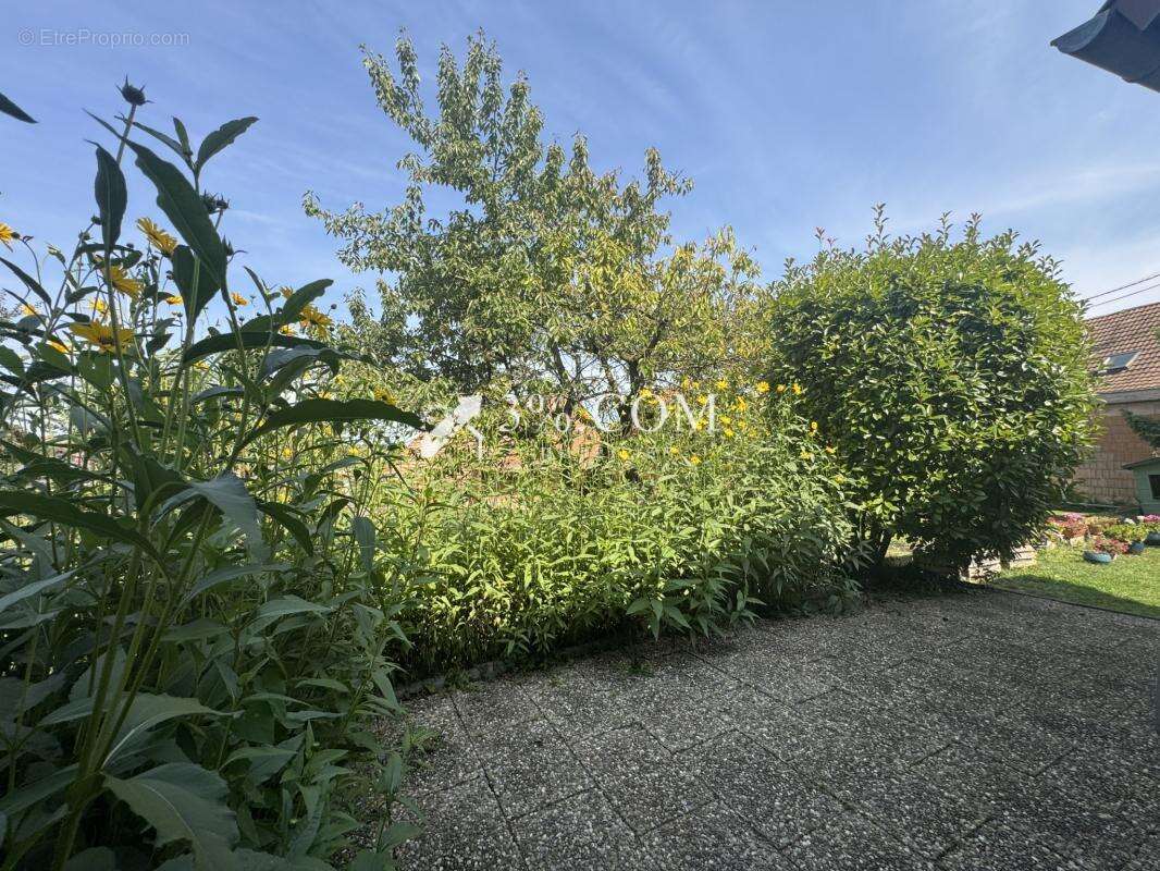 Maison à WINGERSHEIM