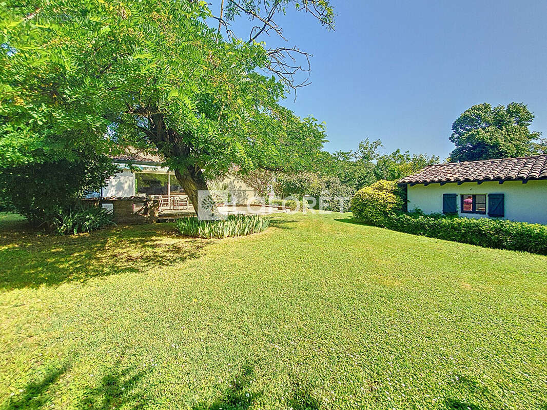 Maison à VILLEMUR-SUR-TARN