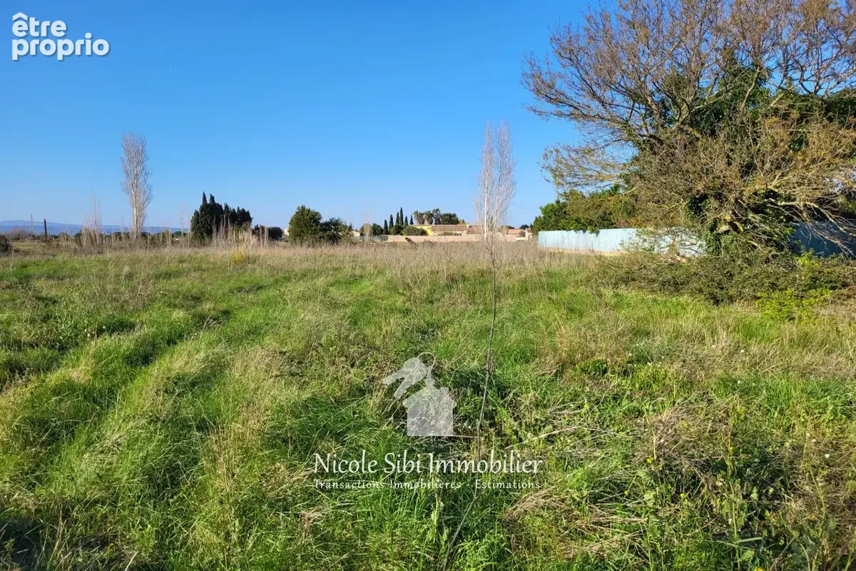 Terrain 1 600 m² à vendre à Saint-Hippolyte (66510) - photo 4