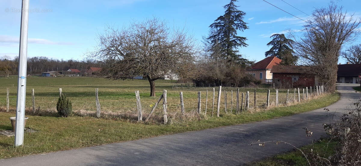 Terrain à COMMENAILLES
