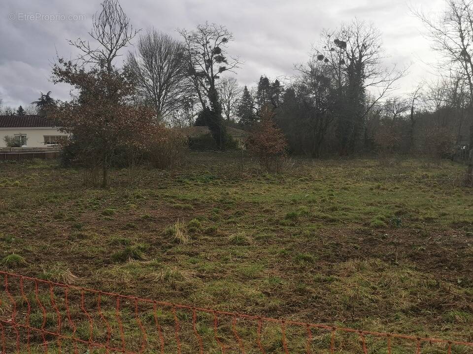 Terrain à NOAILLAN