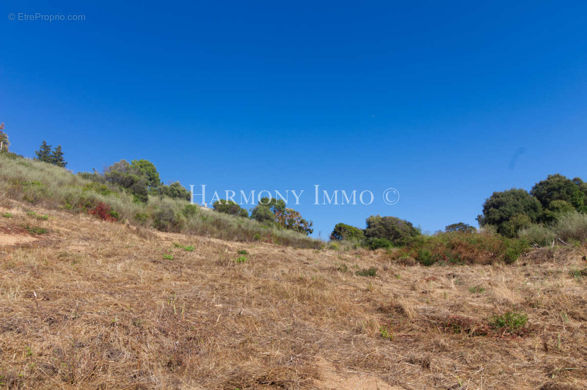Terrain à PROPRIANO