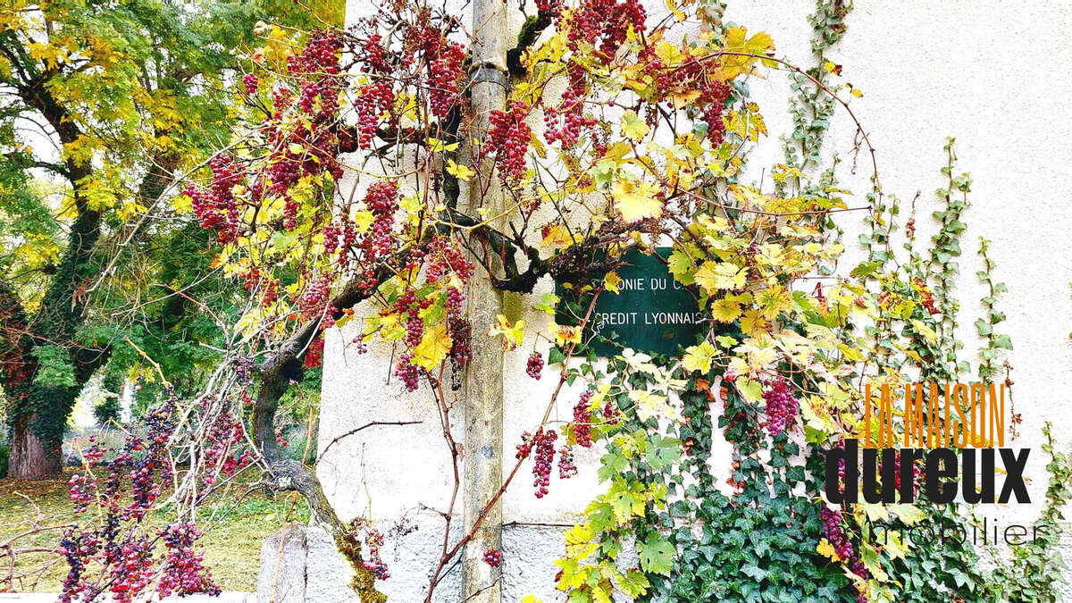 Maison à CHAMPLITTE