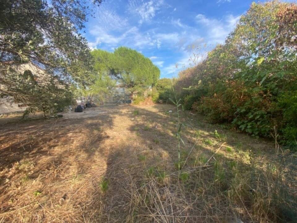 Terrain à LE MUY