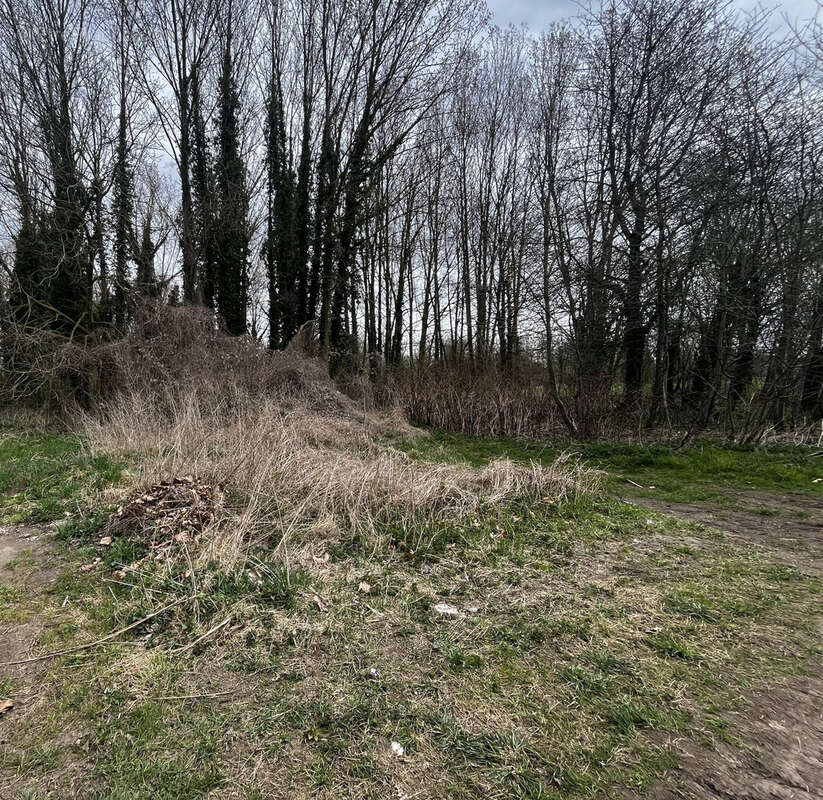 Maison à SAINT-AMAND-LES-EAUX