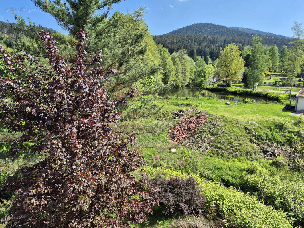 20250509_112702 - Appartement à CORNIMONT