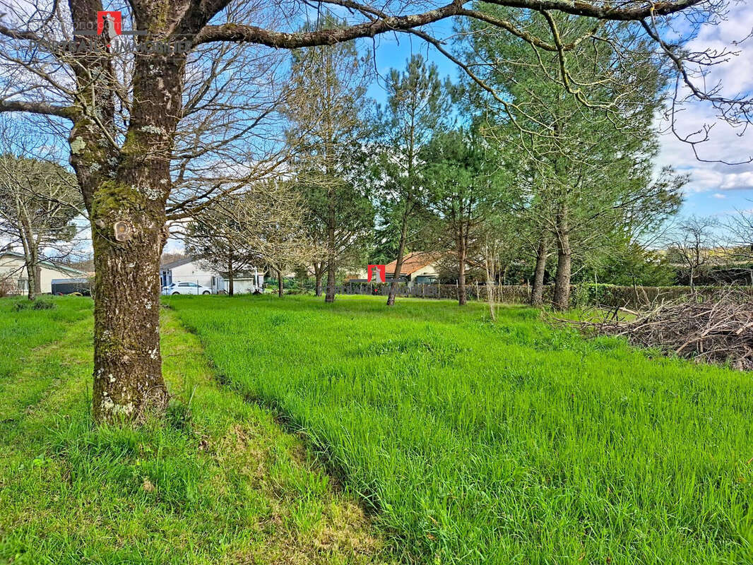 Terrain à AMBARES-ET-LAGRAVE