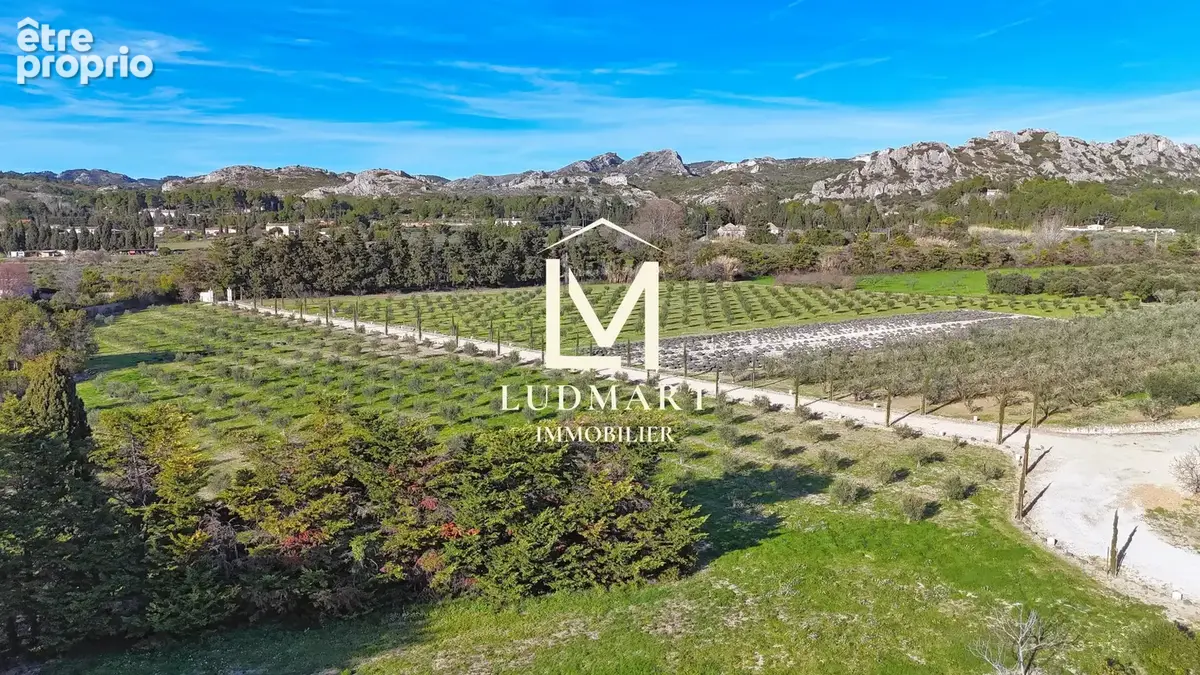 Propriété d’exception de 1300m2 au cœur des Alpilles — Domaine de 7,3 ha avec oliveraie - photo 7