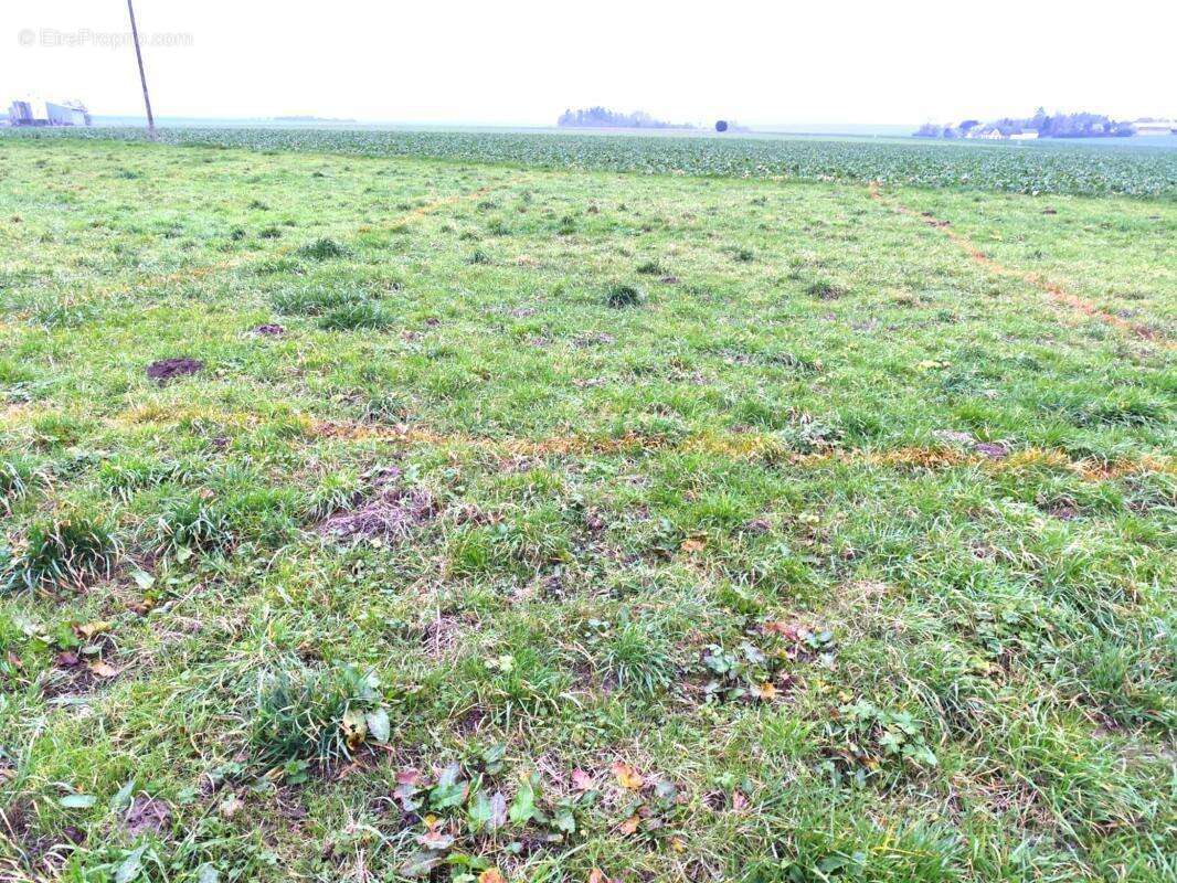 Commerce à TREMBLAY-LES-VILLAGES