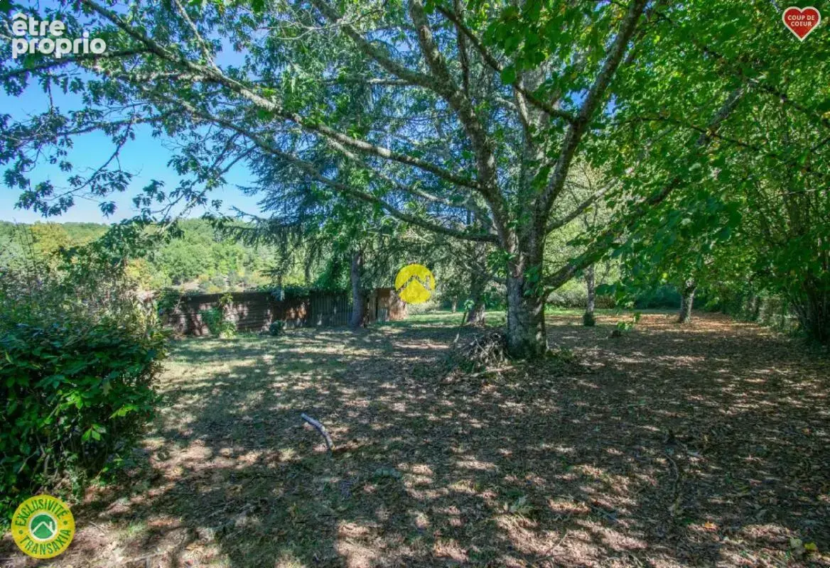 Maison en pierre au bord de Forêt - photo 13