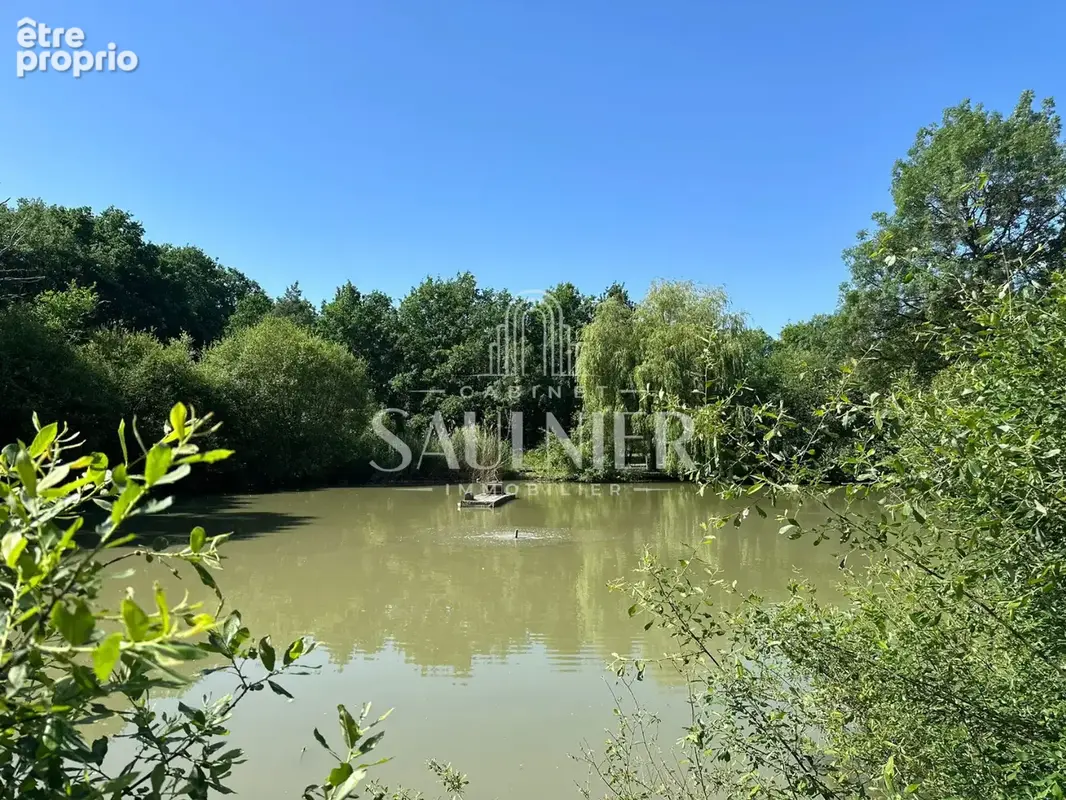 Entre Tours et Bléré, Propriété de campagne avec son étang - photo 24