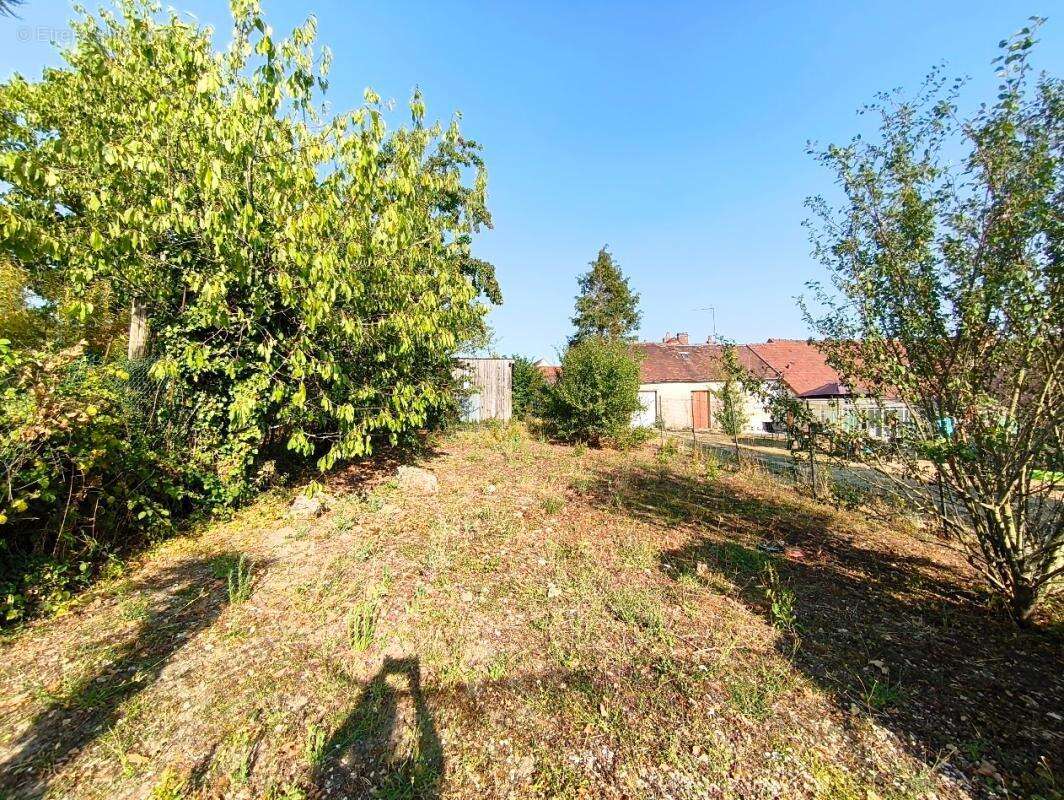 Terrain constructible à Esternay - photo 2