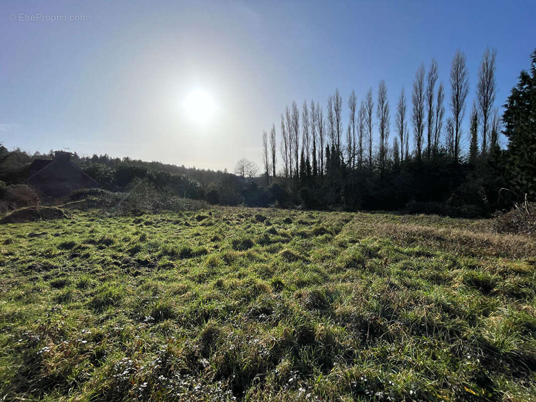 Terrain à QUIMPER