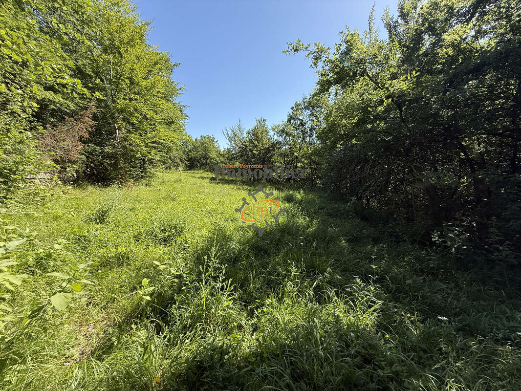 Vente Mazet Versols et Lapeyre, 1,25 hectares de terrains - photo 15