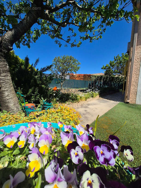 Maison à SAINT-GENIES-DE-FONTEDIT