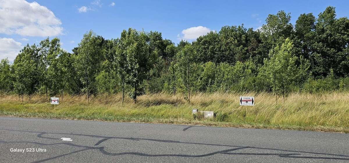 Terrain à SAINTE-SEVERE