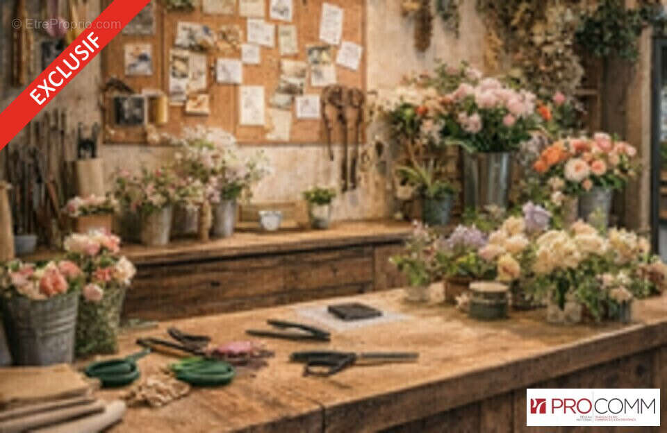 Commerce à SAINT-LOUIS