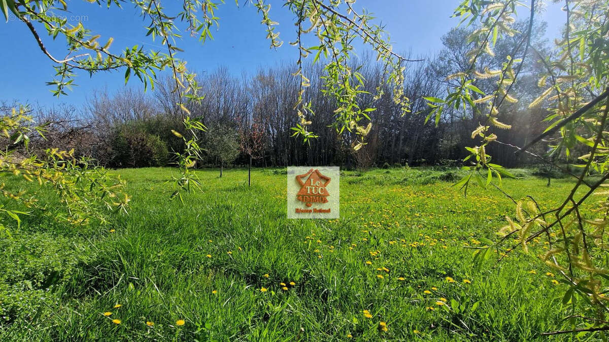 Maison à SAINT-PAUL-TROIS-CHATEAUX