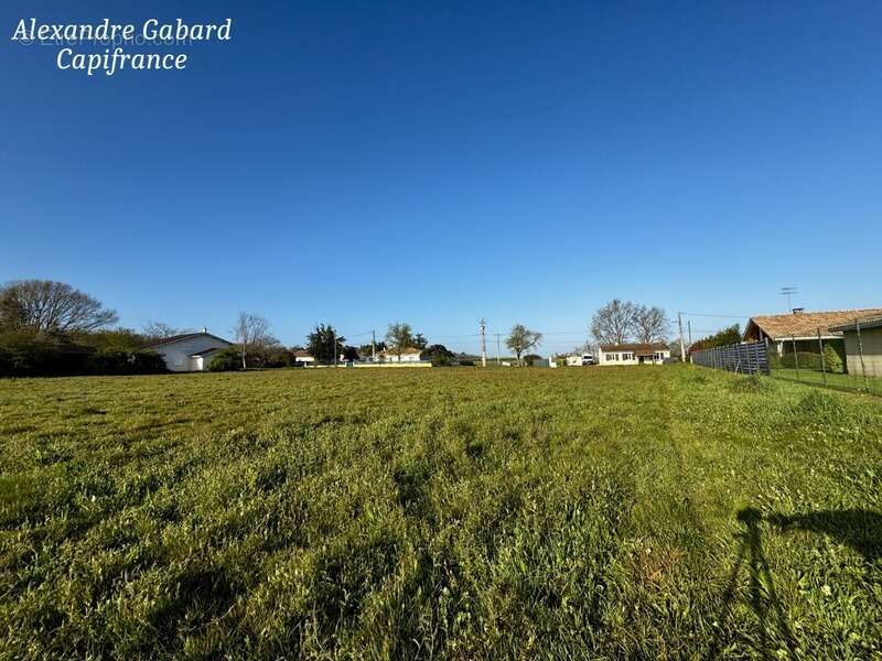 Terrain constructible aux portes de Langon - Environnement privilégié - photo 2