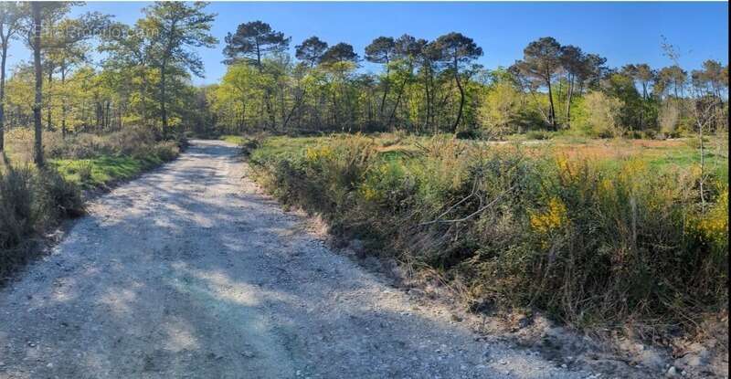 Terrain à vendre constructible ARGENTON (47) - photo 5