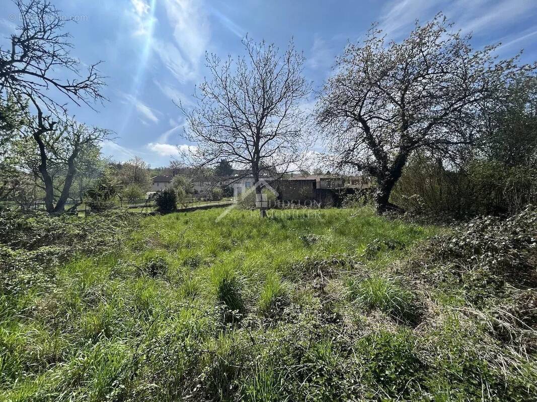 Terrain à MONTAUVILLE
