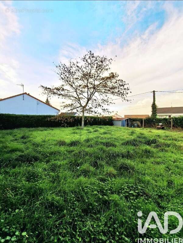 Photo 3 - Terrain à BARBECHAT