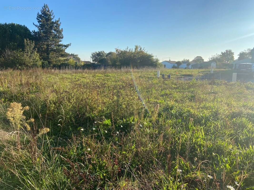Terrain à MAULEON