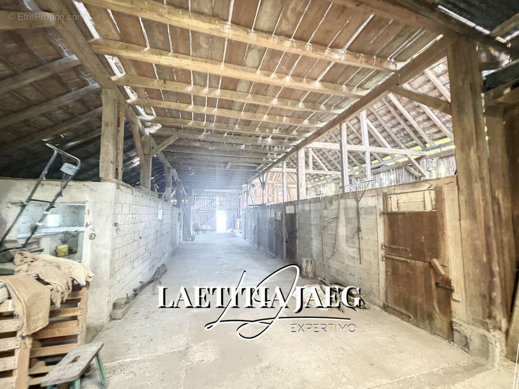 Terrain à BOOFZHEIM