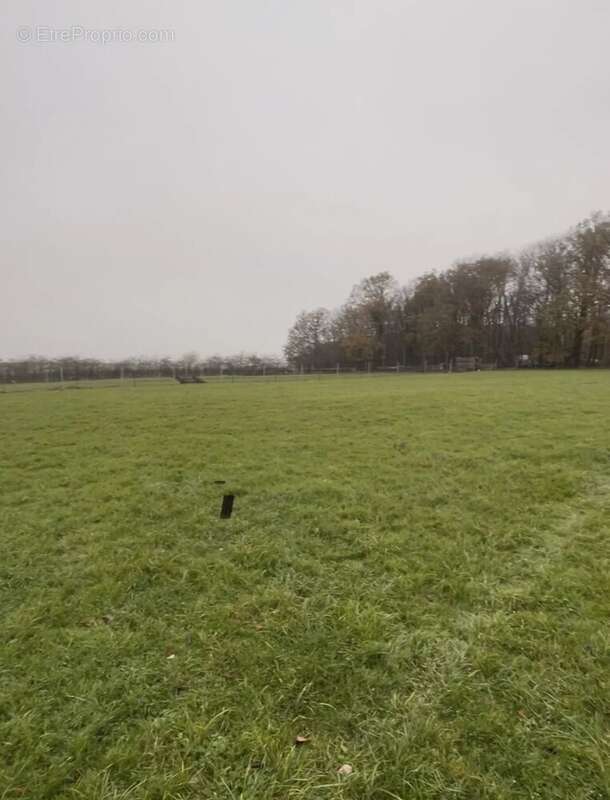 Commerce à WALINCOURT-SELVIGNY