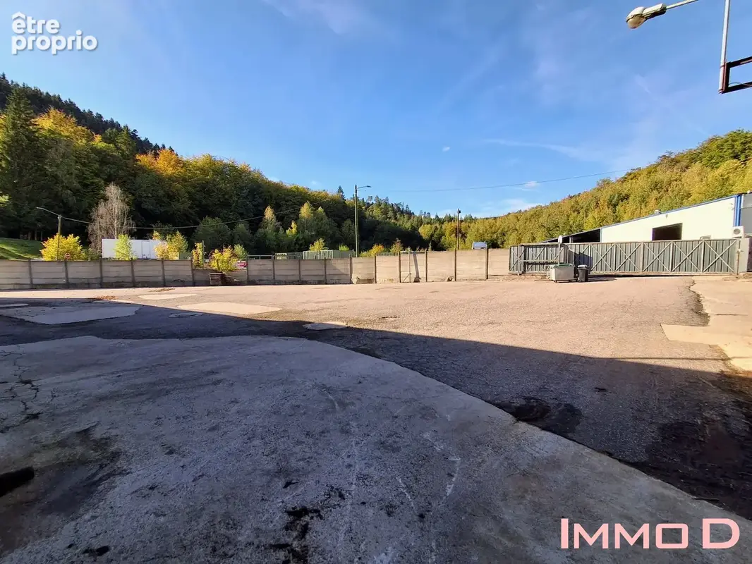 Commerce 3 400 m² à vendre à Docelles (88460) - photo 7