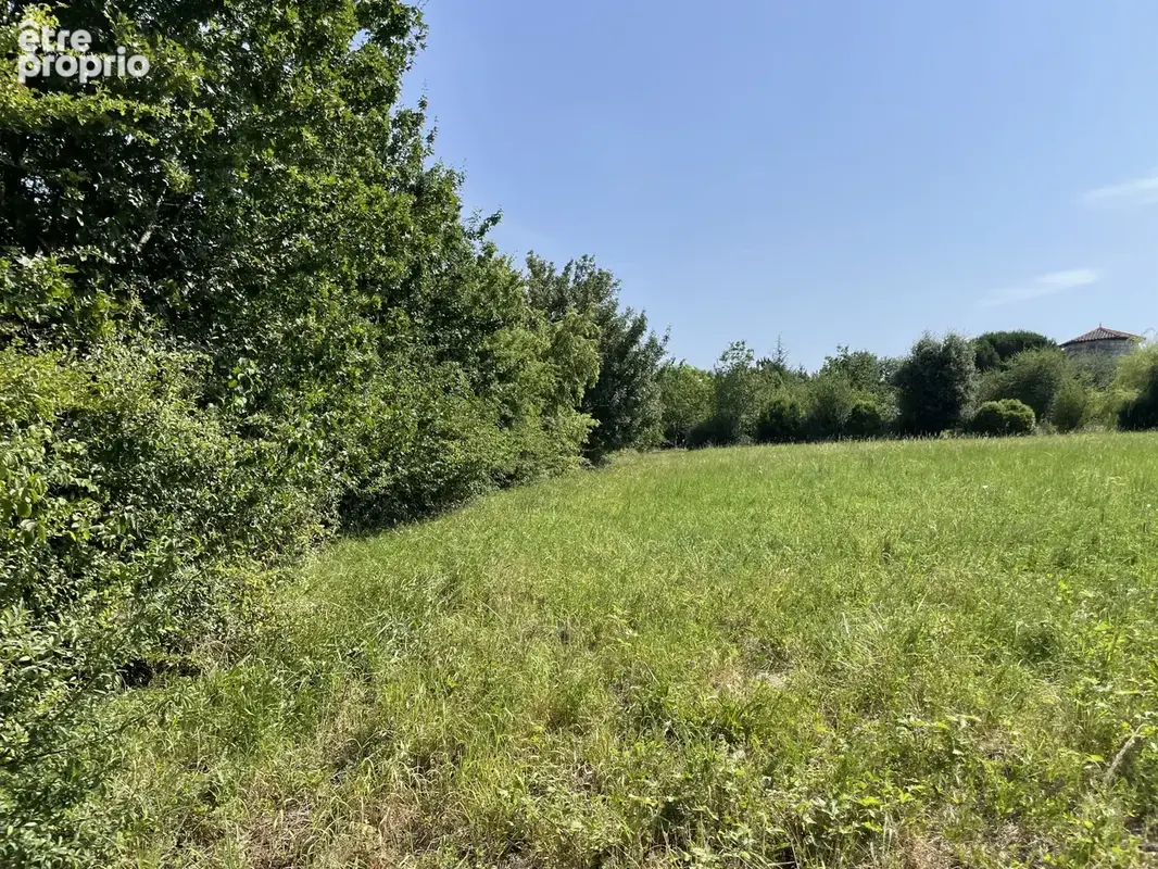 Photo Terrain à La Romieu au prix de 55 000€