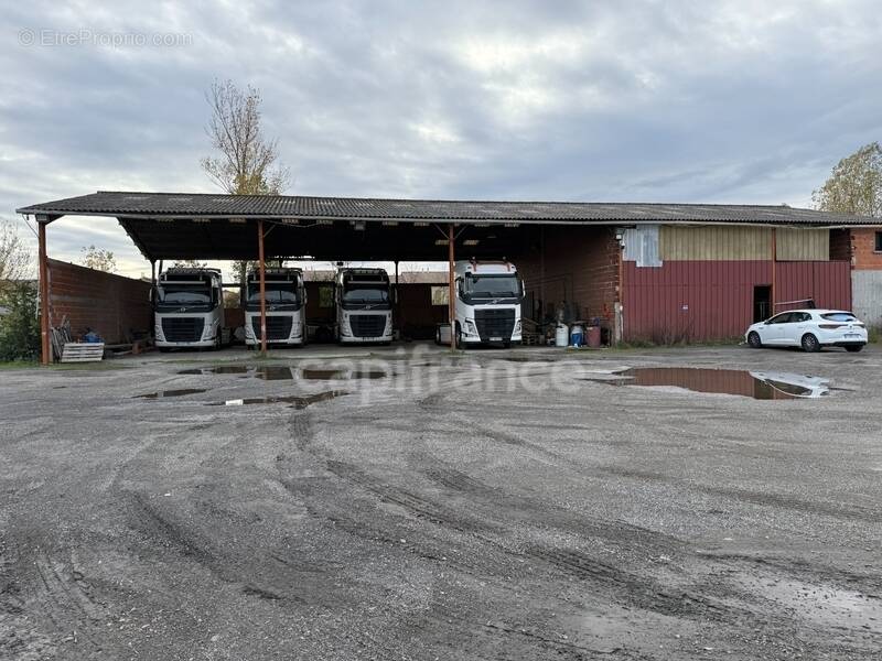 Commerce à CASTELGINEST