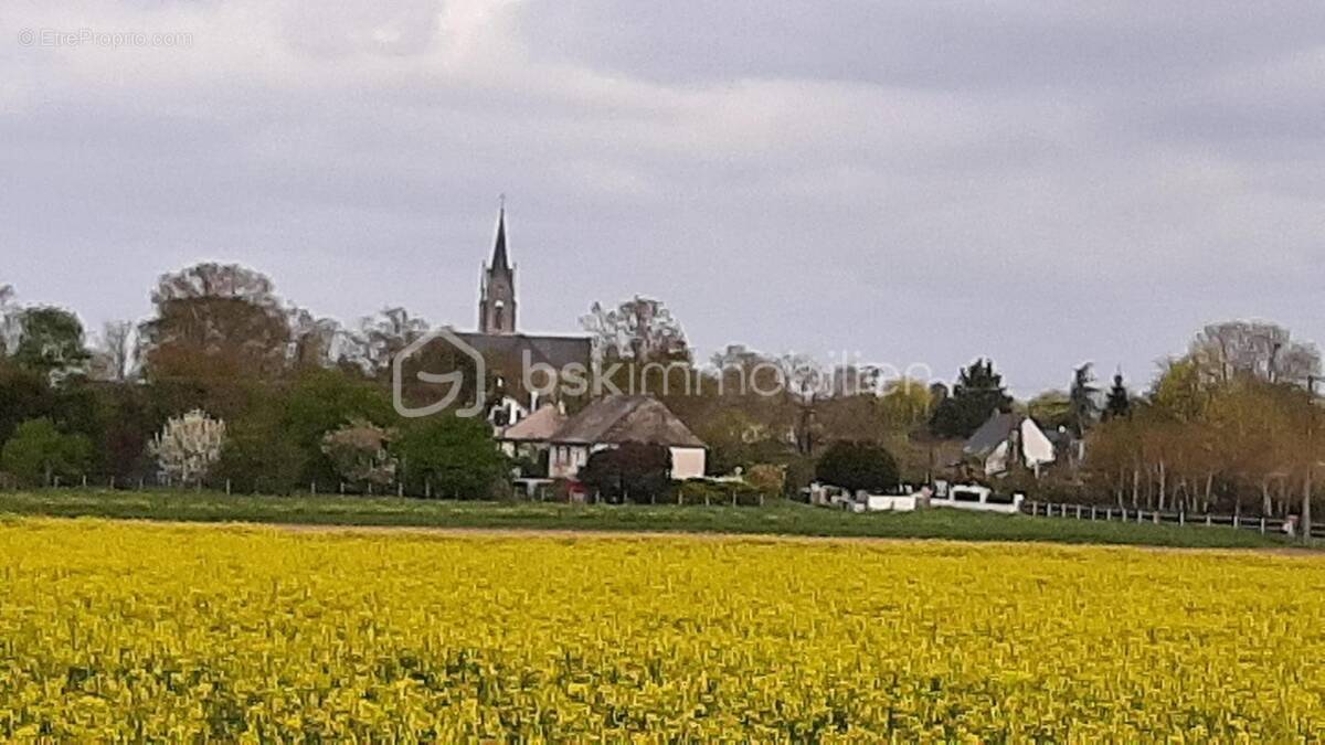 Terrain à JUIGNE-SUR-LOIRE