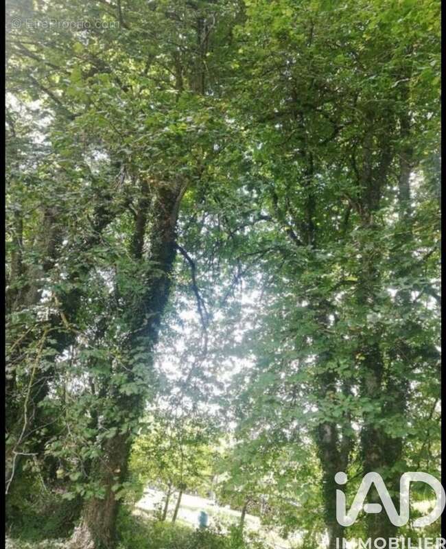 Photo 4 - Terrain à SAINT-PHAL