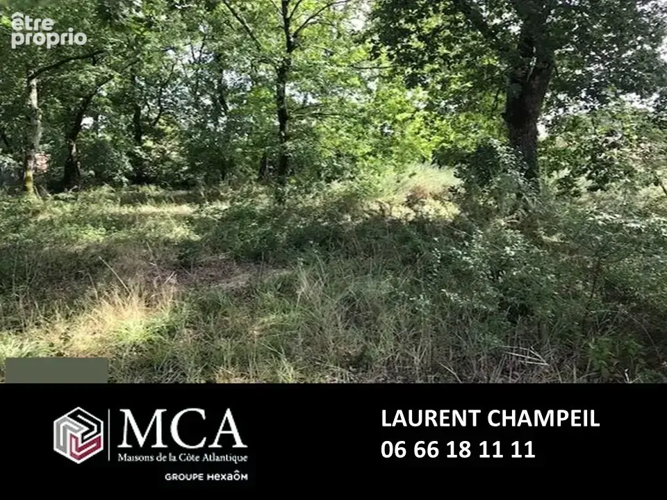 Terrain à LABENNE