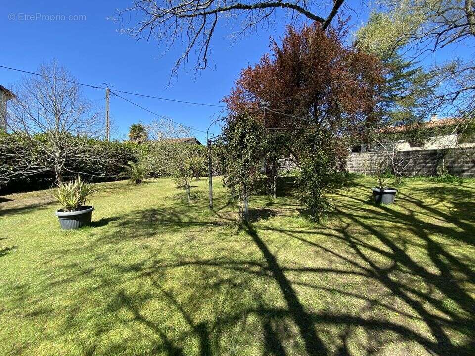 Commerce à CAZAUBON