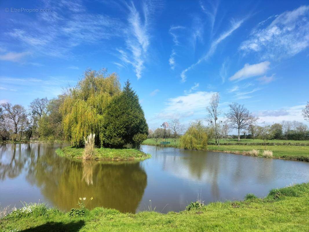 Terrain à SAINT-CYR-EN-PAIL
