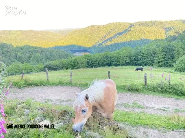 Maison corrézienne avec vue sur la vallée - photo 13