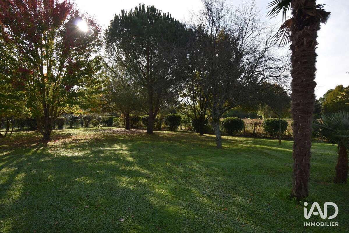 Photo 2 - Maison à CAYRAC