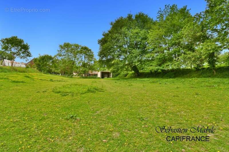 Maison à SAINT-AUBIN-DE-TERREGATTE