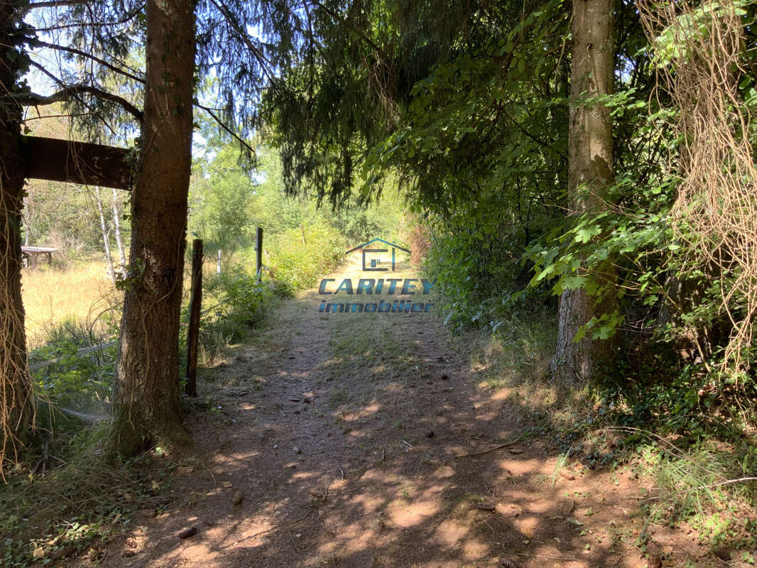 Etang de 30 ares environ sur un terrain de 75 ares avec abri de pêche à FRAHIER (70400) - photo 14