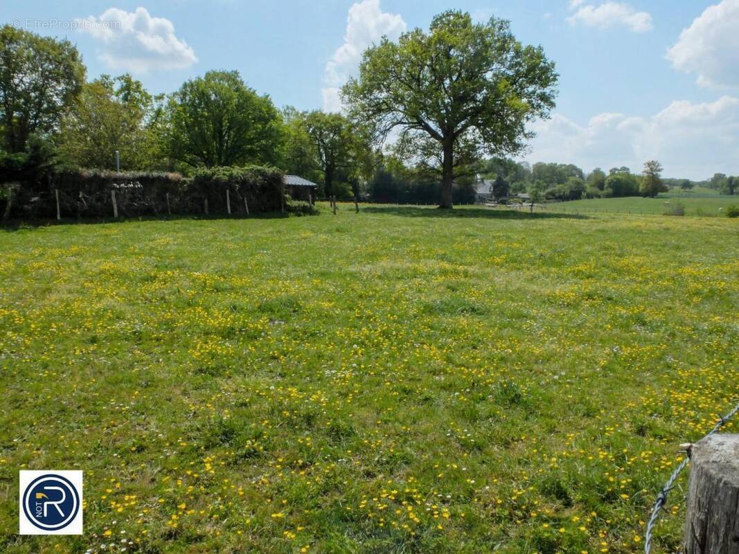 Terrain à CHALONS-DU-MAINE