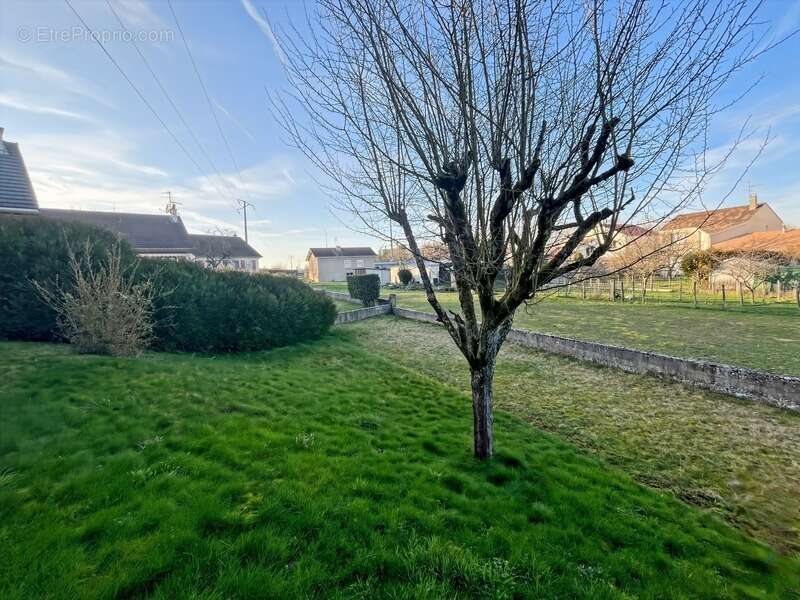 Maison à CHEVIGNY-SAINT-SAUVEUR