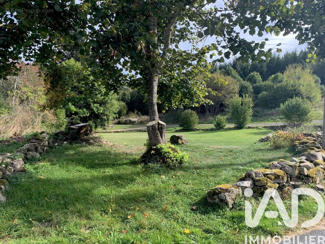 Maison 72 m² à Saint-Bonnet-Le-Bourg  - photo 7