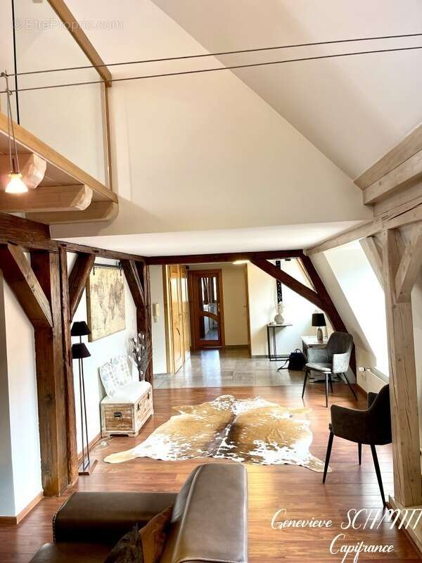 Dpt Haut-Rhin (68), à vendre ZELLENBERG immeuble 197 m² - photo 2