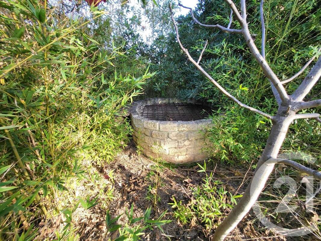 Maison à FRONTIGNAN