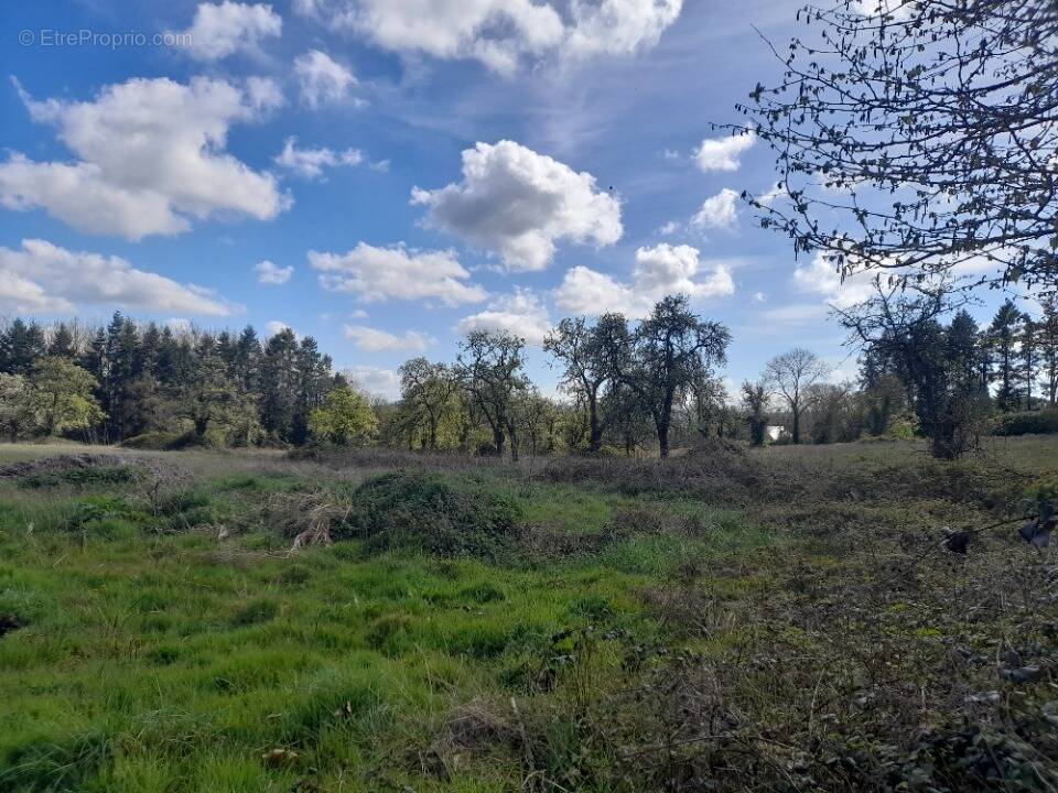 Terrain à SAINT-ANDRE-D'HEBERTOT